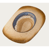 Stetson Raffia Olkihattu 